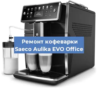 Декальцинация   кофемашины Saeco Aulika EVO Office в Нижнем Новгороде